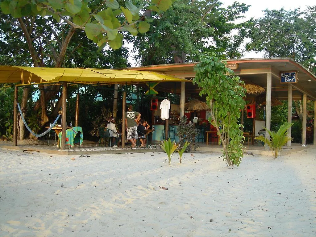 Whistling Bird Hotel Negril 3*,  Jamaica