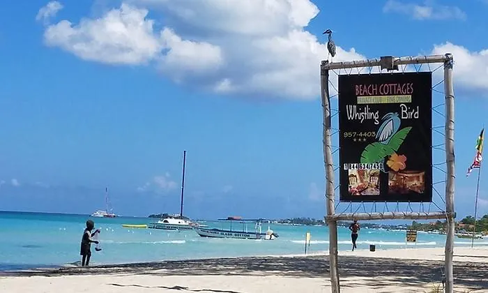 Whistling Bird Hotel Negril