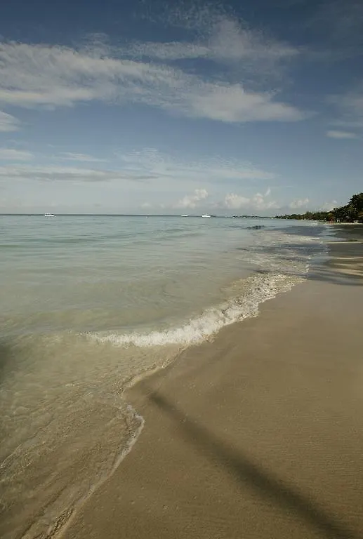 Whistling Bird Hotel Negril 3*,